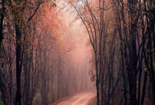 [乒乓球]山东魏桥、汕头明润、黄石基地华新取得乒超两连胜.