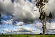 华体会体育官网:水庆霞团队是否留用待定 中国女足帅位面临三种选择北京青年报.