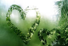 华体会体育官网:王岚嵚已随辽宁男篮开练 希望能尽快融入球队.