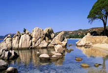 华体会体育官网:孙兴慜:提前晋级世界杯绝非易事;我的体能比任何时候都好.